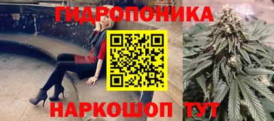 2c-b Ачхой-Мартан