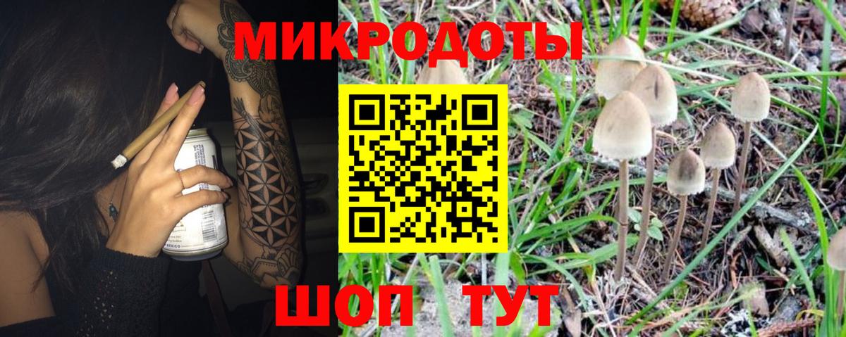 Галлюциногенные грибы Psilocybe Глазов