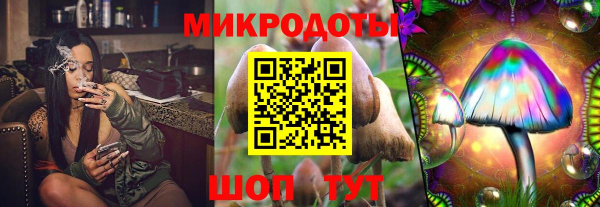 где найти   Вход с VPN  Глазов  Галлюциногенные грибы мицелий 